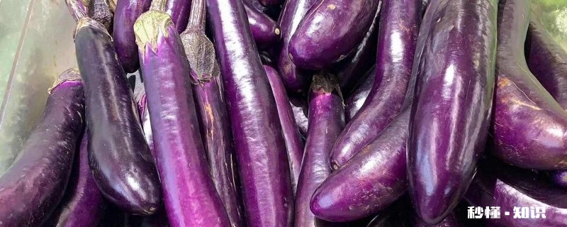 茄子怎么晒干 茄子干的晒法