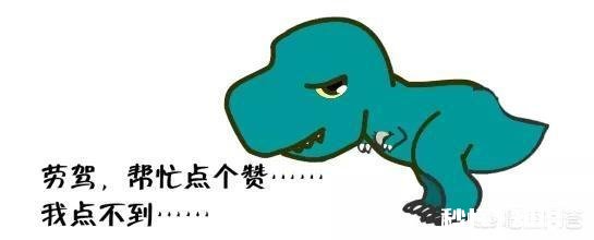 燃气热水器买到假货怎么办