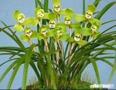 现在律师费是什么时候出，按什么标准出