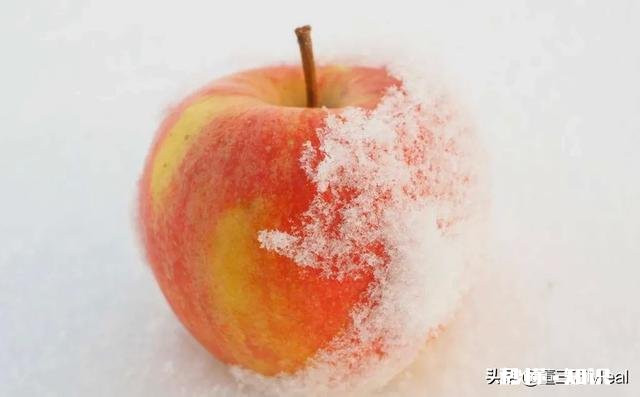 冬季买苹果怎么选