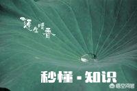 求推荐有没有美食或者古风风景的壁纸