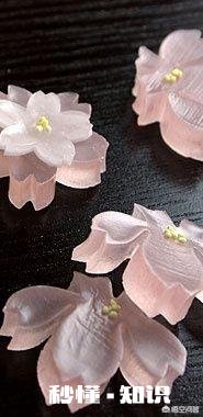 求推荐有没有美食或者古风风景的壁纸