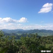 生活中喜欢萝莉的男生多吗