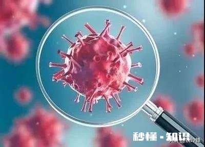 特朗普扬言12万人不会白死，称新冠为“功夫病毒”