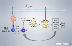 为什么鼻炎治不好反而去研究更高难度的艾滋病，这不是本末倒置吗