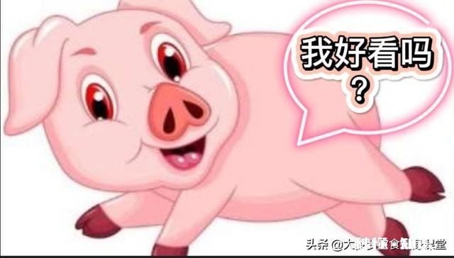 一般的猪肉与土猪肉有什么区别