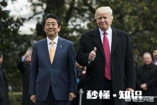 为什么有人认为，安倍晋三对伊朗进行的访问，如同蒋干访吴呢
