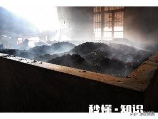 唐代茶人是如何蒸青制茶的