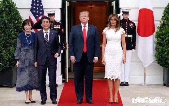 近日安倍走红毯挺丢脸的，特朗普为何让安倍出丑