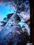 车臣卡德罗夫再晒和普京的合影，高兴得像个孩子！两人谈了什么