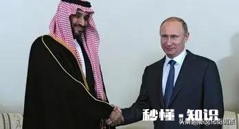 在遇袭后，沙特邀请普京访问，有何目的