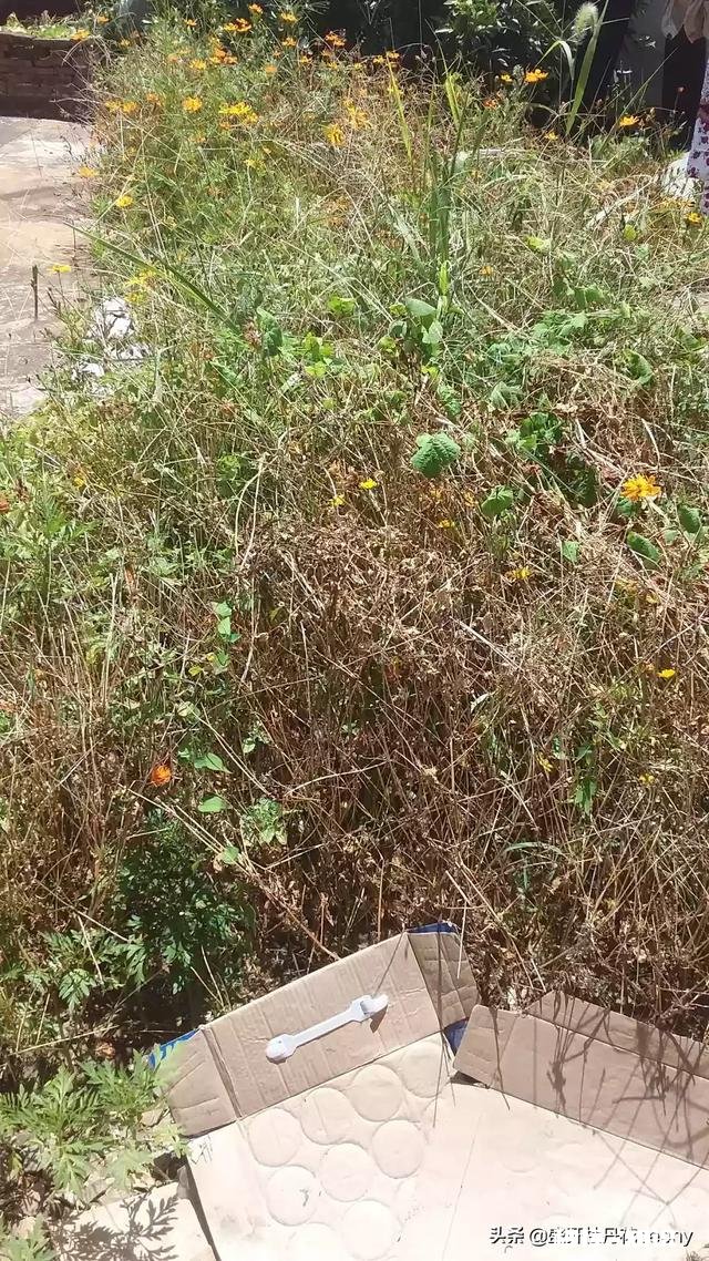 如何用一句话形容你眼中的夏天