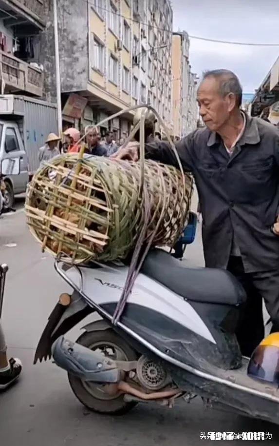 男人拼命挣钱到底为了什么