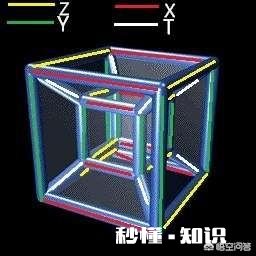 地球人是高维生物的投影吗