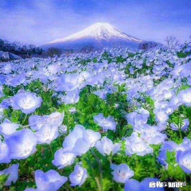 汉献帝为什么不建立农村根据地光复大汉