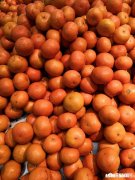 科技发展会抑制人的全面发展吗