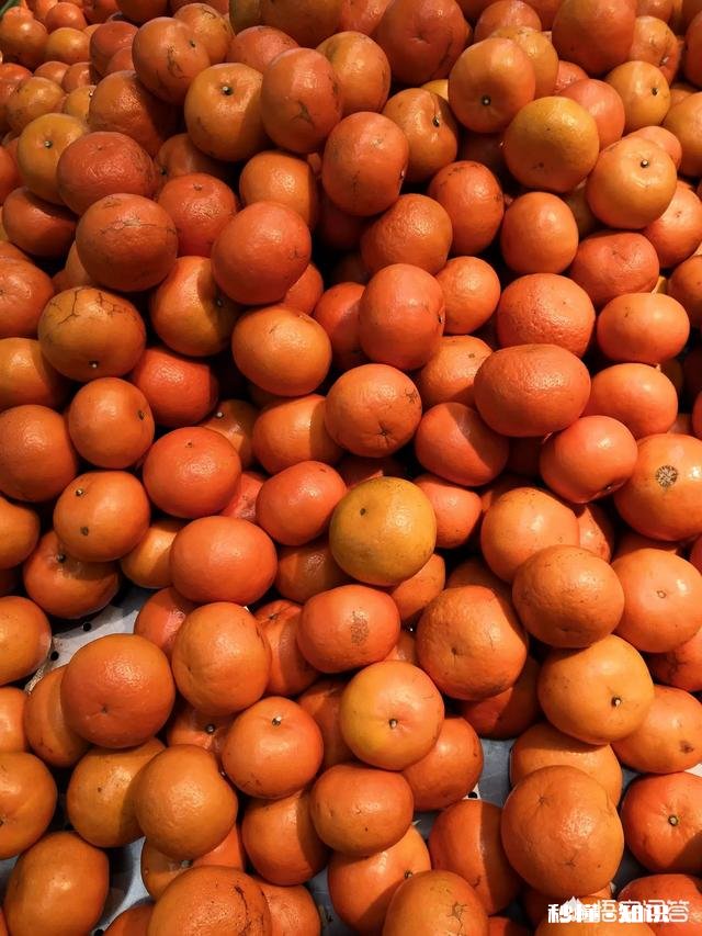 科技发展会抑制人的全面发展吗