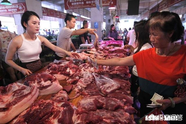 9月2日猪价，北方全面下跌，南方稳中有涨，中秋可能反弹吗