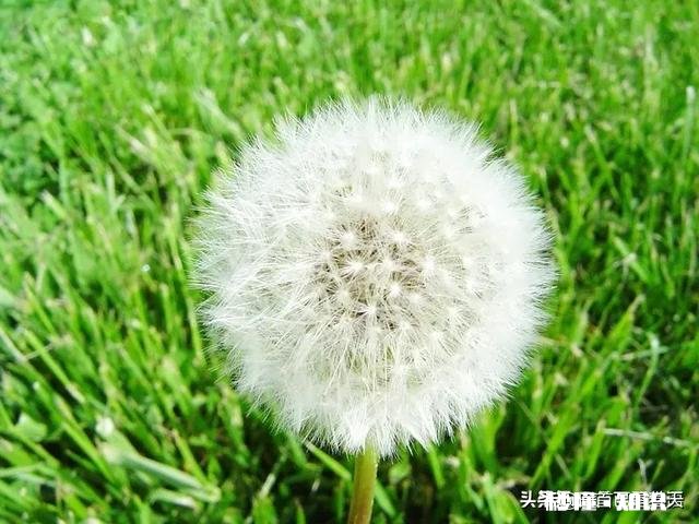 一个品行方面存在重大缺陷的人，这个人的作品到底能不能承载纯粹的美好