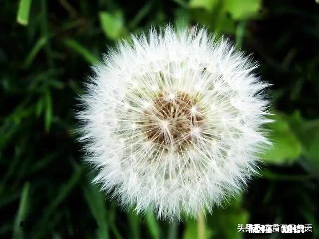 一个品行方面存在重大缺陷的人，这个人的作品到底能不能承载纯粹的美好