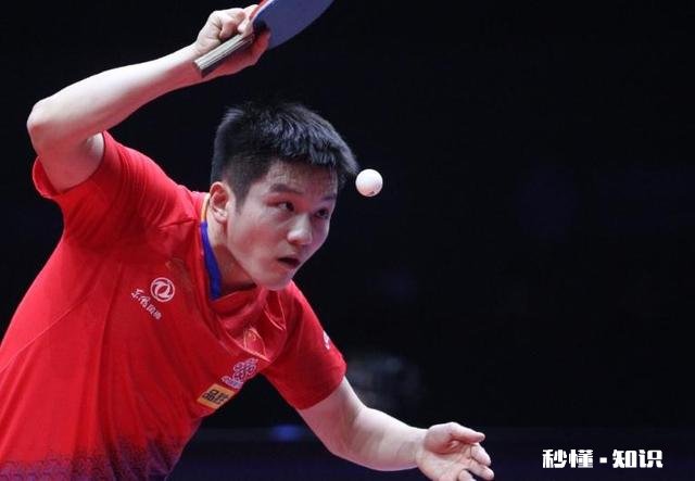 本次世界杯总决赛日本表现最好是张本智和，国乒表现最好是谁