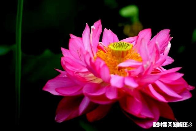 用副厂的35mmF1.4镜头拍人像效果怎么样