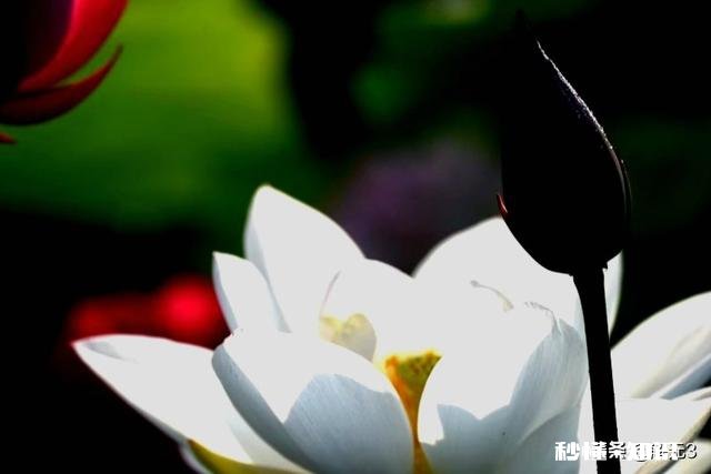 用副厂的35mmF1.4镜头拍人像效果怎么样