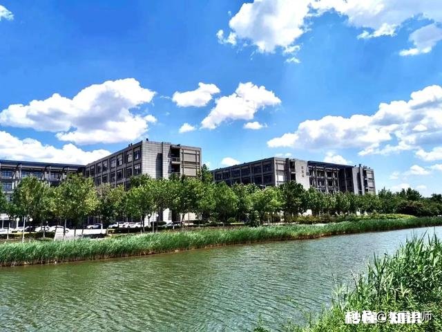 天津师范大学的辅导员好，还是滨海的一个小学语文教师好