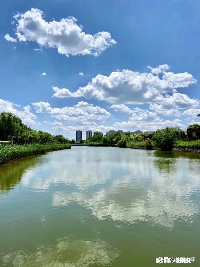 天津师范大学的辅导员好，还是滨海的一个小学语文教师好