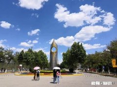 天津师范大学的辅导员好，还是滨海的一个小学语文教师好