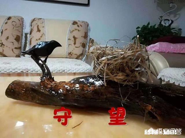 为什么有很多人喜欢普京,他究竟有怎样的魅力