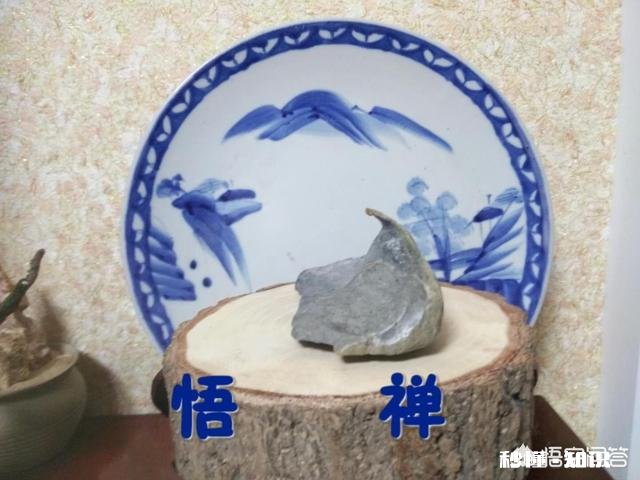 为什么有很多人喜欢普京,他究竟有怎样的魅力