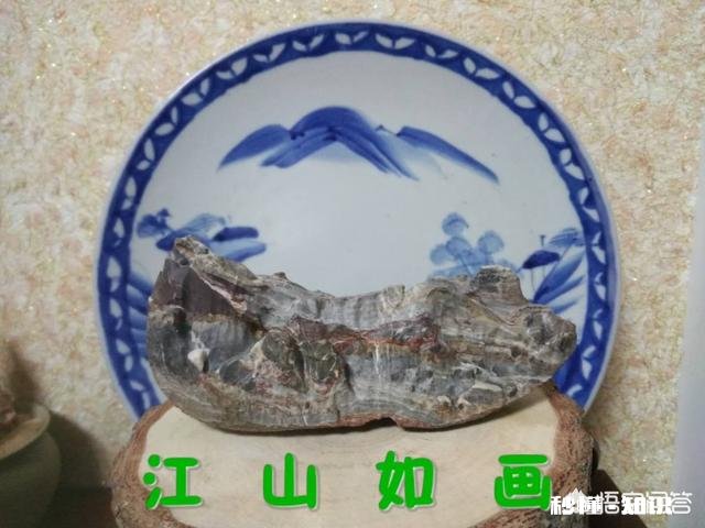 为什么有很多人喜欢普京,他究竟有怎样的魅力