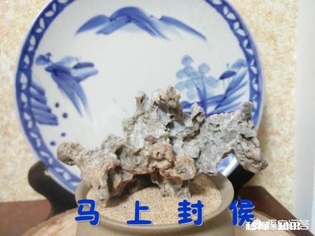 为什么有很多人喜欢普京,他究竟有怎样的魅力