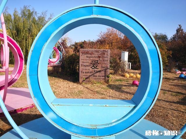 意外险也有很多的险种吗,如果买的话,意外险买哪个好