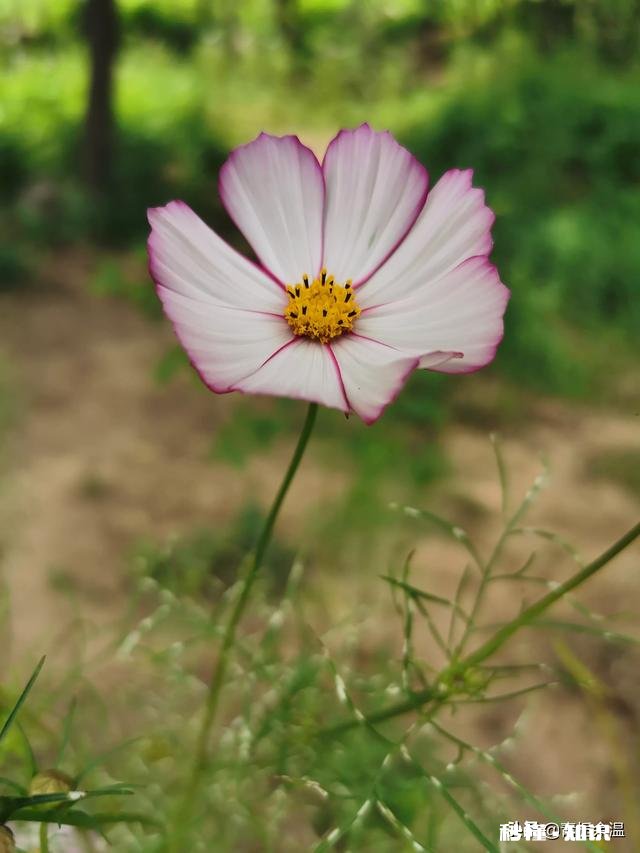 人究竟是看透了还是妥协了