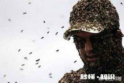 看到了蜜蜂，你会想到哪些人试着写一段话