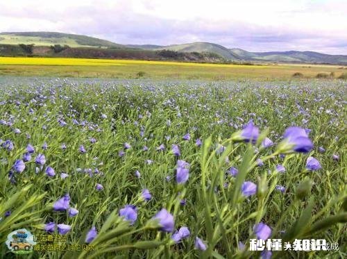 看到了蜜蜂，你会想到哪些人试着写一段话