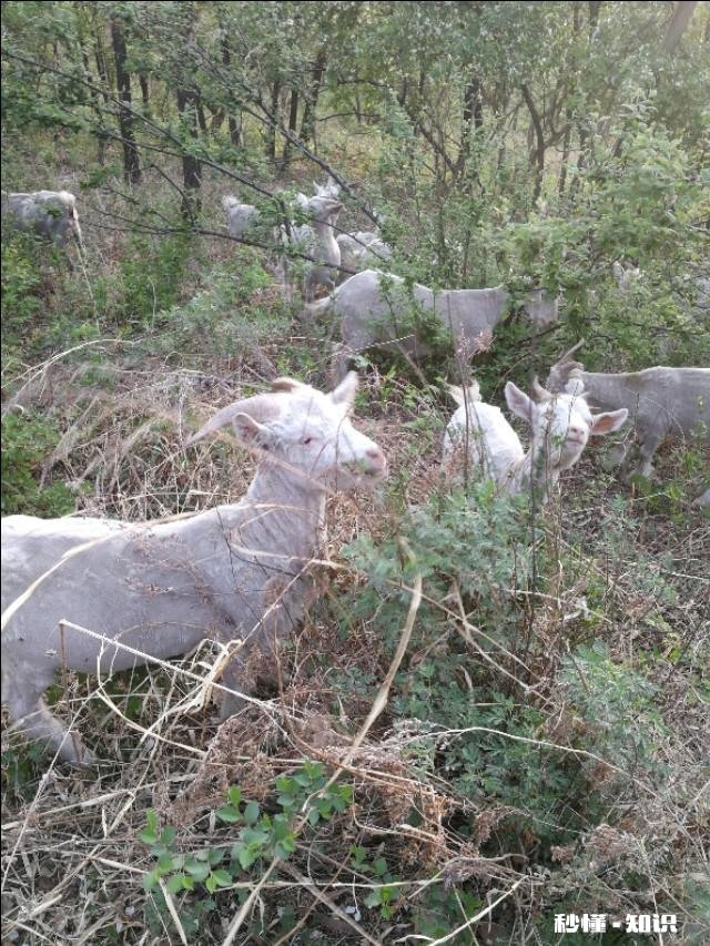 烈日炎炎似火烧,这两天你们那里热吗能谈谈热的原因吗
