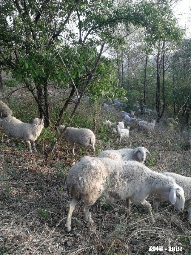 烈日炎炎似火烧,这两天你们那里热吗能谈谈热的原因吗