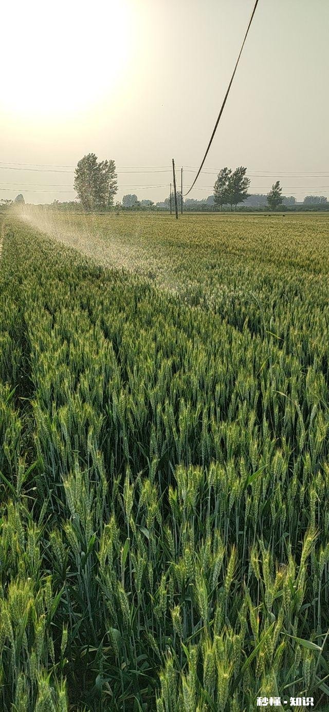 烈日炎炎似火烧,这两天你们那里热吗能谈谈热的原因吗