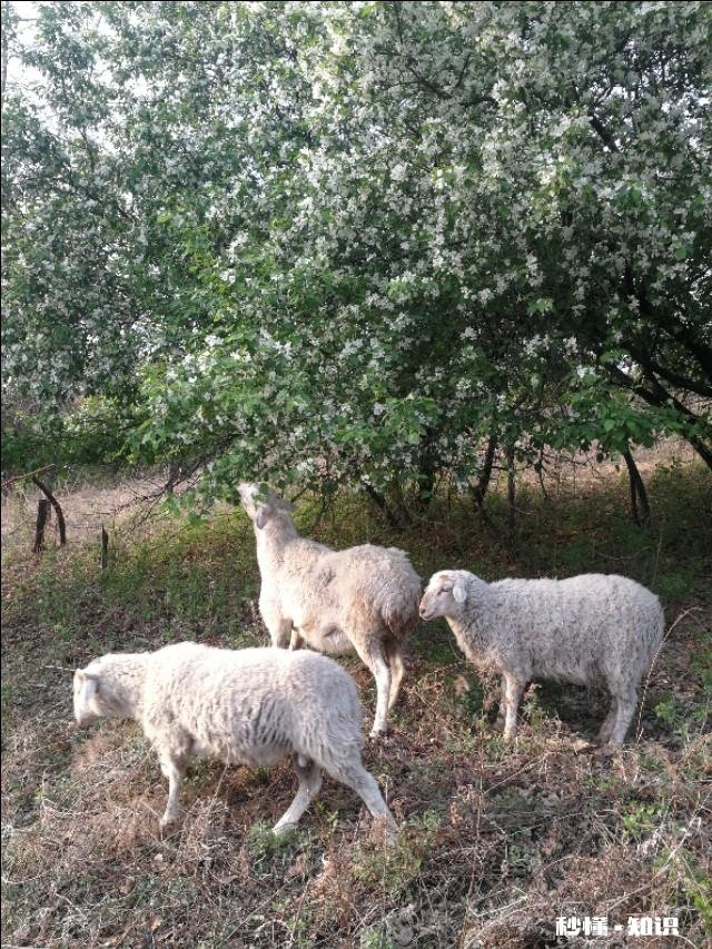 烈日炎炎似火烧,这两天你们那里热吗能谈谈热的原因吗