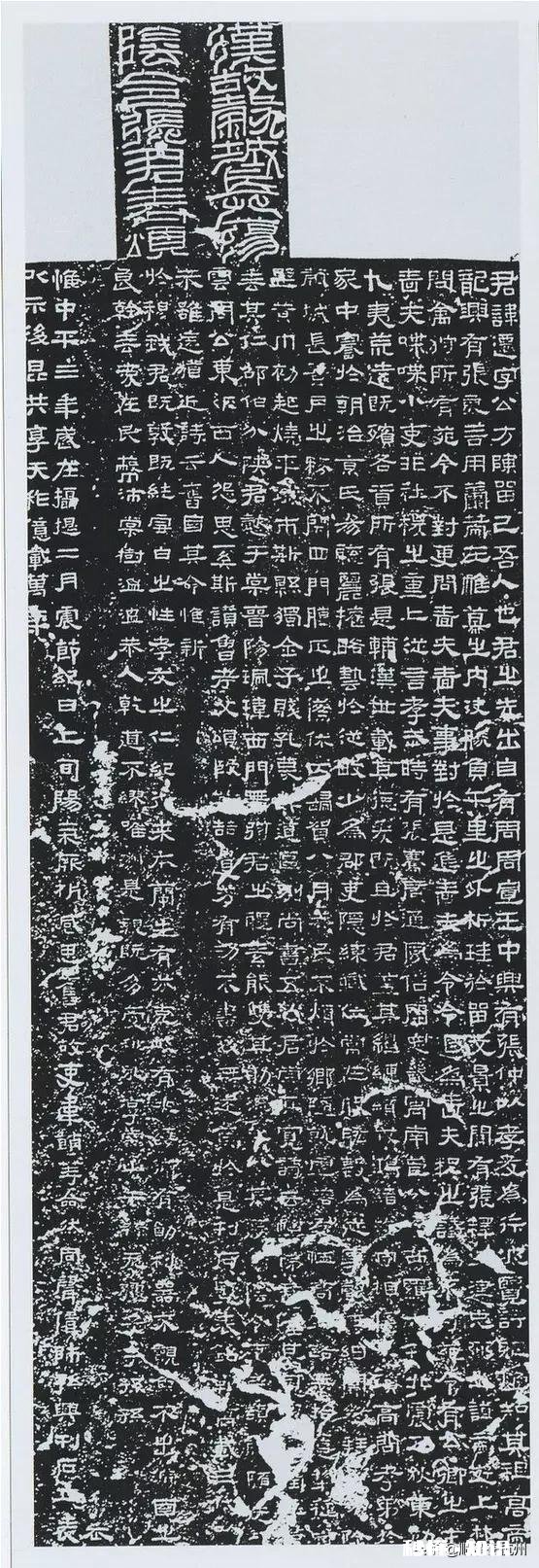 《张迁碑》的特色有哪几点