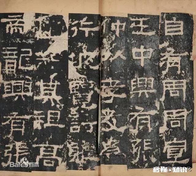 《张迁碑》的特色有哪几点