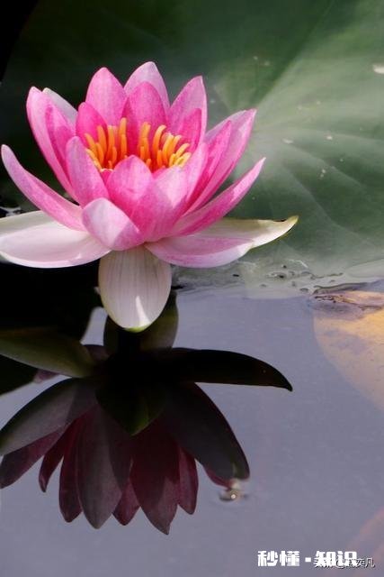 头条号运营多久才会有收益