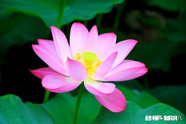 头条号运营多久才会有收益