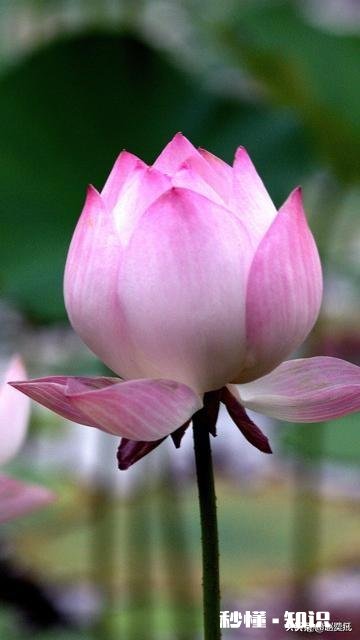 头条号运营多久才会有收益