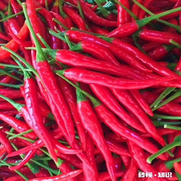 有没哪位大哥跟我说一下蒜蓉的调料跟比例，我也有配料但是想多参考一下