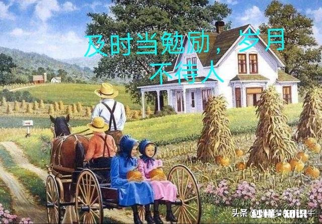 大家都在说书中自有颜如玉,书中自有黄金屋,读书能开阔眼界,那到底该读什么书