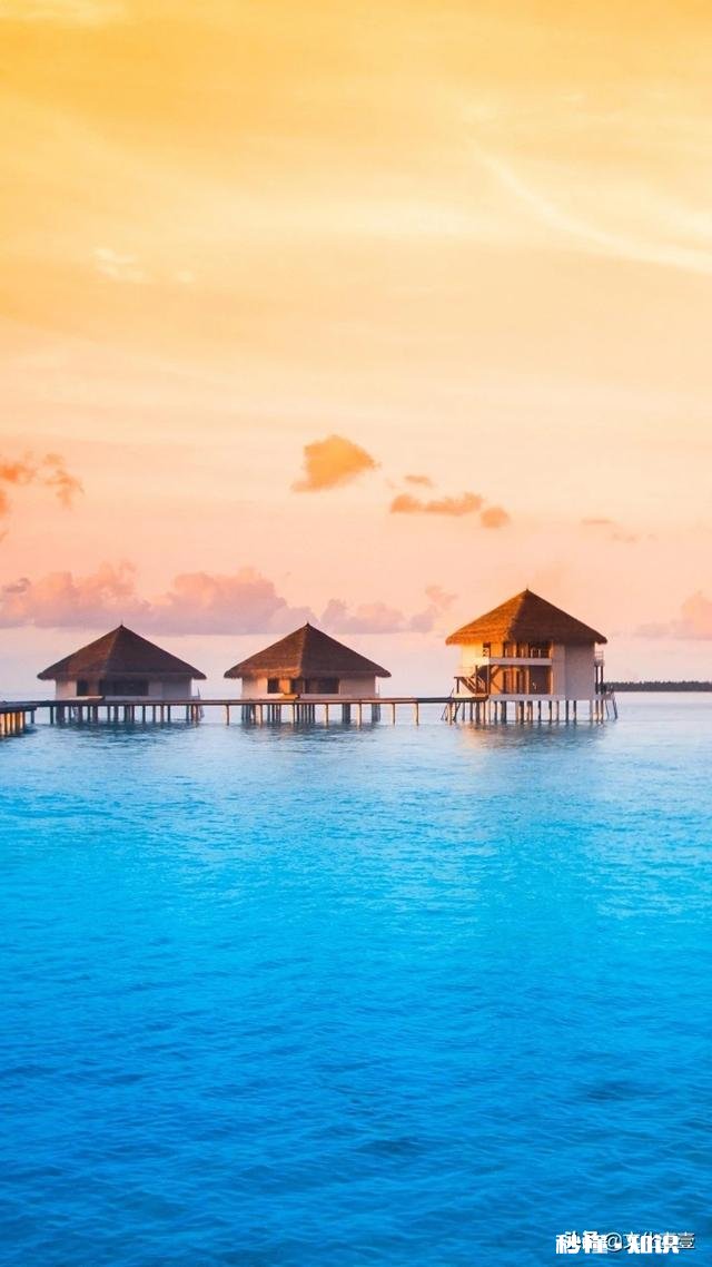 大家都在说书中自有颜如玉,书中自有黄金屋,读书能开阔眼界,那到底该读什么书